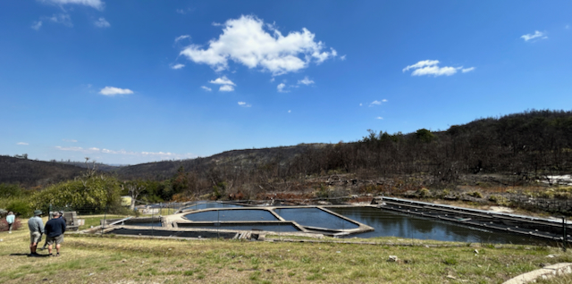 Trout Hatchery – A Unique Aquaculture Experience